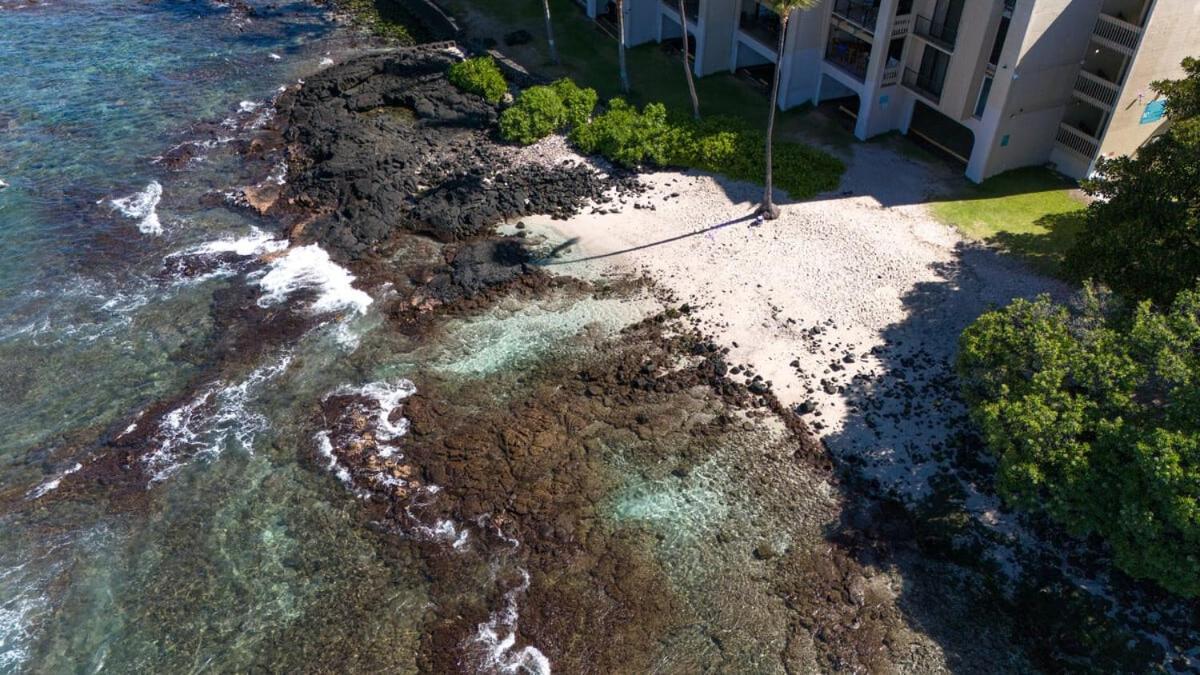 Oceanfront 1 Bedroom 2 Bathroom With Large Lanai - Kona Bali Kai 218 Kailua-Kona Eksteriør bilde