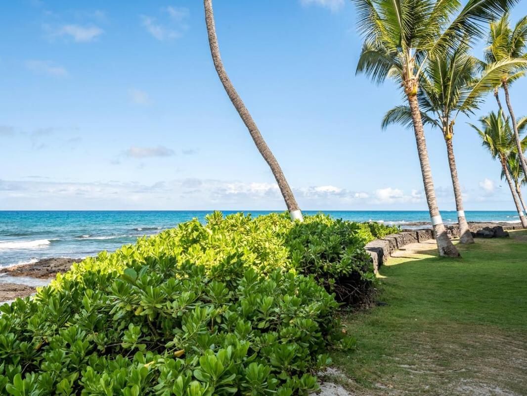 Oceanfront 1 Bedroom 2 Bathroom With Large Lanai - Kona Bali Kai 218 Kailua-Kona Eksteriør bilde