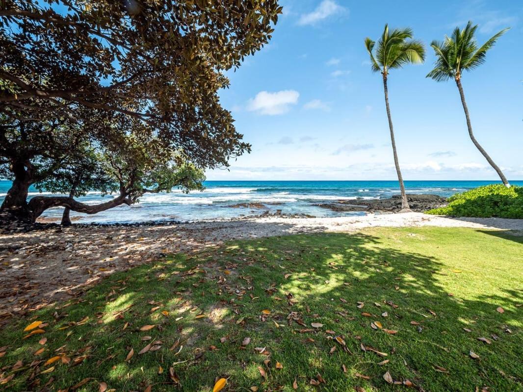 Oceanfront 1 Bedroom 2 Bathroom With Large Lanai - Kona Bali Kai 218 Kailua-Kona Eksteriør bilde